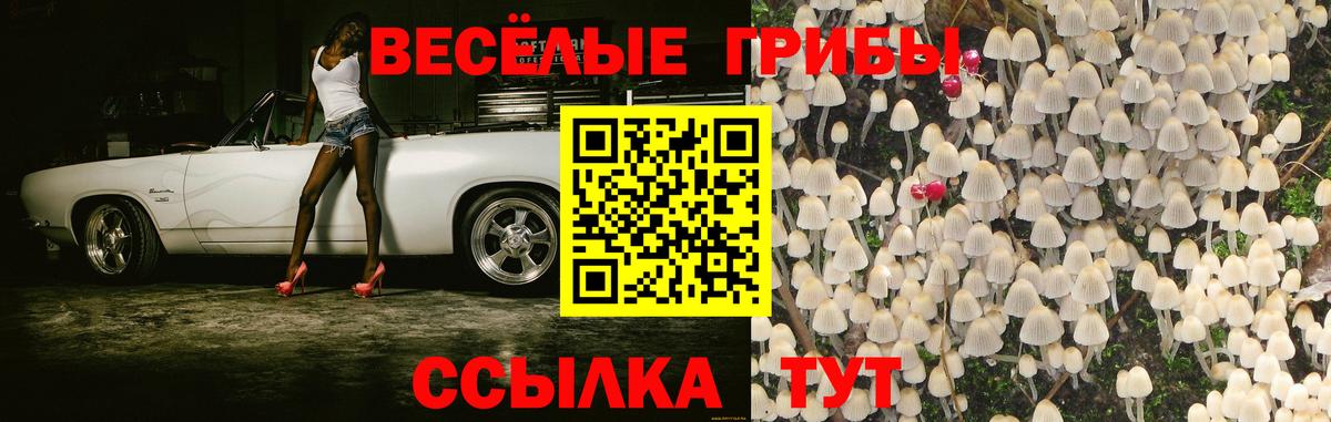 Псилоцибиновые грибы Cubensis Рузаевка