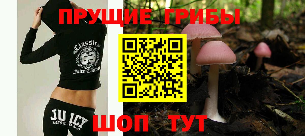 Галлюциногенные грибы мицелий  наркота  Рузаевка  Вход с VPN 